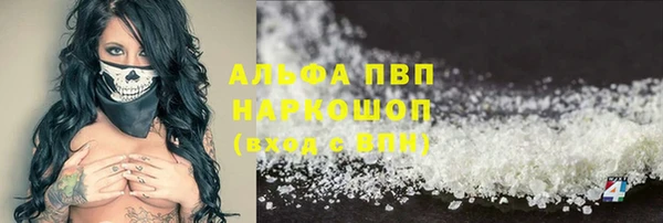 спайс Покачи