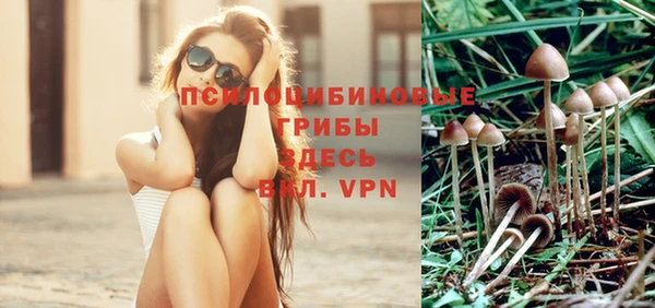 соль курить ск Арсеньев